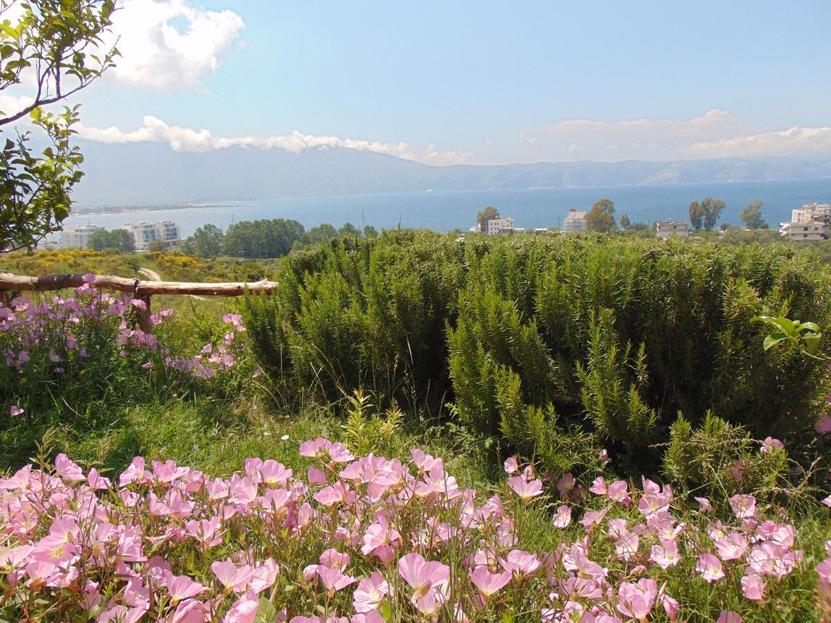 Residence Jazoj Vlorë Eksteriør bilde