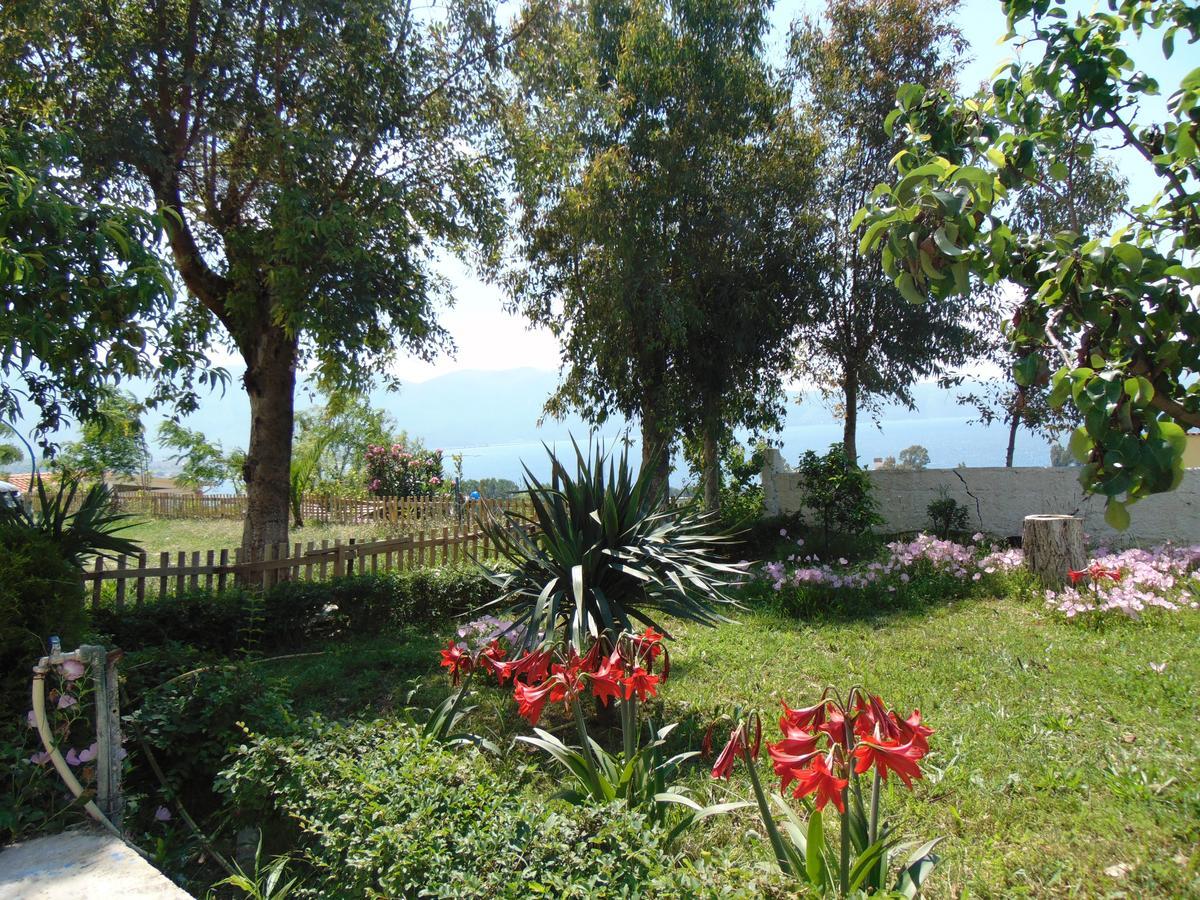 Residence Jazoj Vlorë Eksteriør bilde